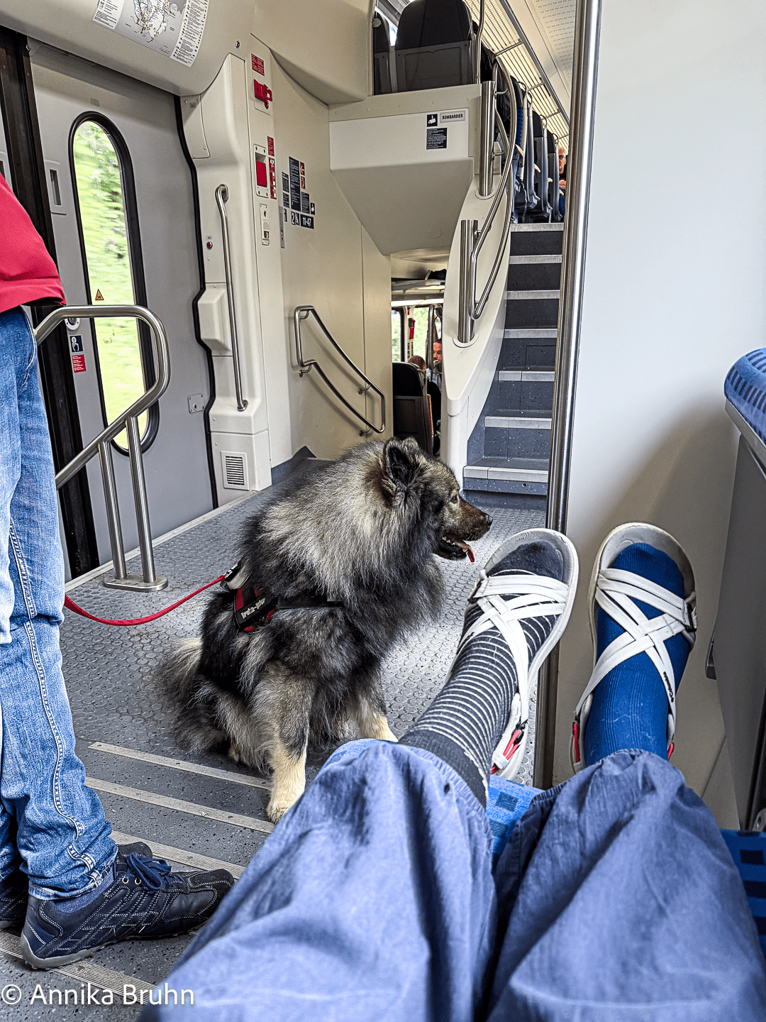 Wir drei fahren mal wieder mit der Bahn